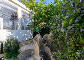 Shop Viale Aldo Moro, Olbia - photo 24