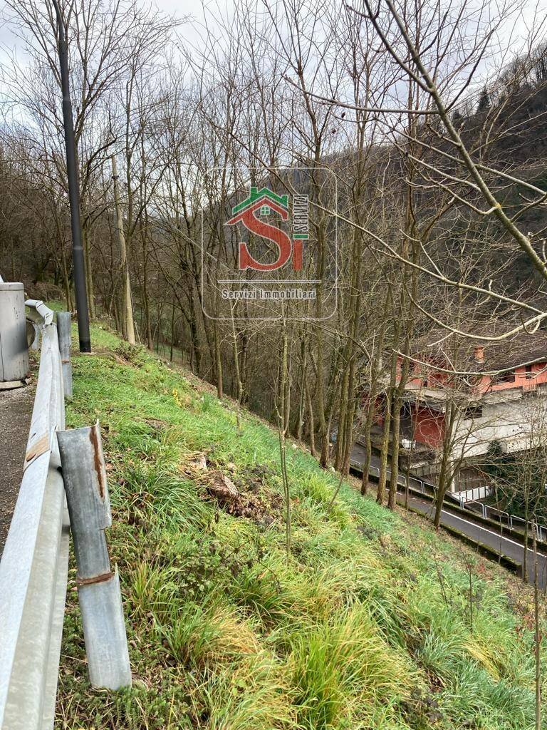 Building land Sedrina - photo 3