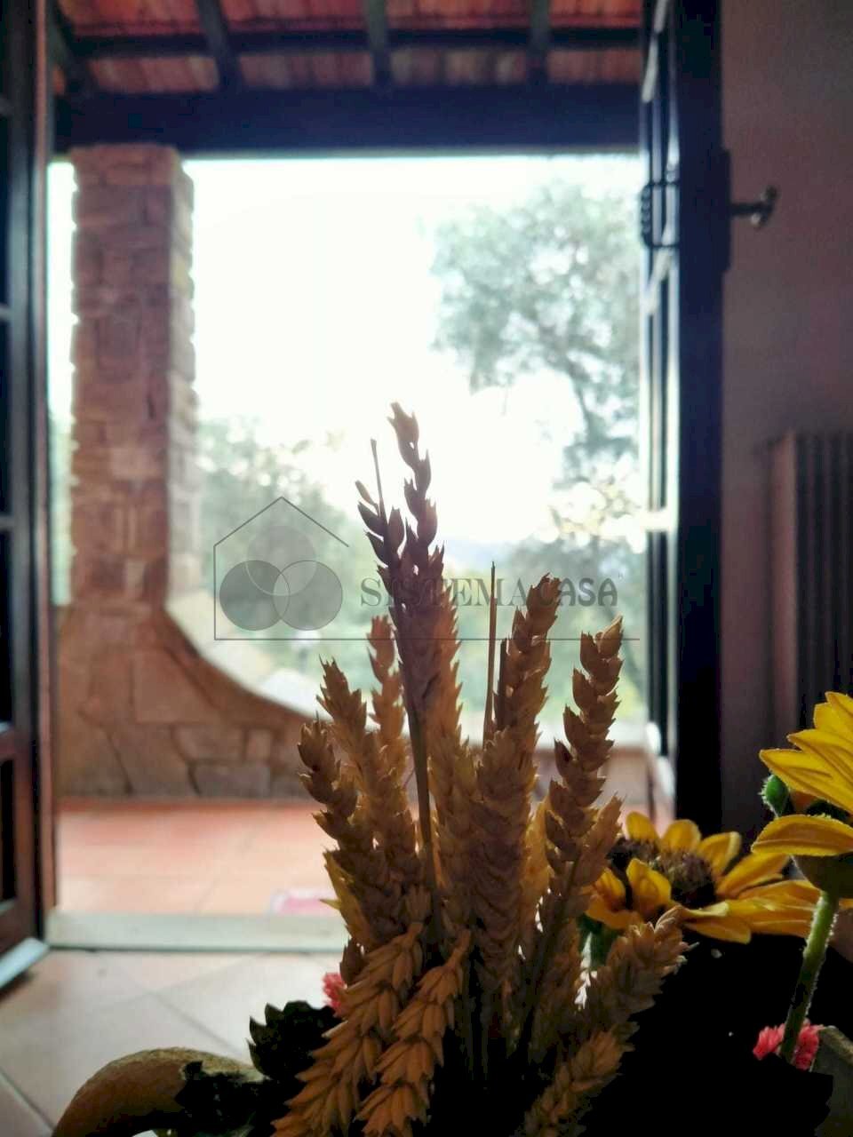 WhatsApp Image 2023-12-20 at 16.44.32 (3).jpeg - Villa Strada Provinciale 9, Calice al Cornoviglio - foto 2