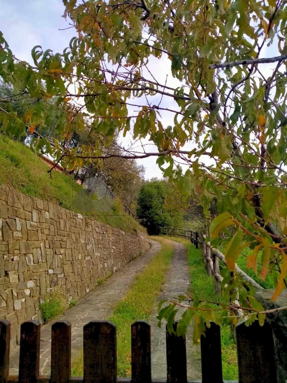 WhatsApp Image 2023-12-20 at 16.48.09 (1).jpeg - Villa Strada Provinciale 9, Calice al Cornoviglio - foto 1