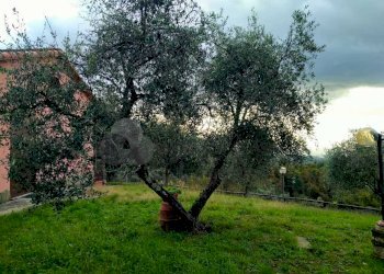 WhatsApp Image 2023-12-20 at 16.41.11 (3).jpeg - Villa Strada Provinciale 9, Calice al Cornoviglio - foto 17