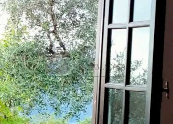 WhatsApp Image 2023-12-20 at 16.44.32 (2).jpeg - Villa Strada Provinciale 9, Calice al Cornoviglio - foto 22