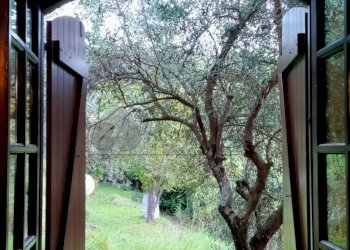 WhatsApp Image 2023-12-20 at 16.47.17 (1).jpeg - Villa Strada Provinciale 9, Calice al Cornoviglio - foto 7