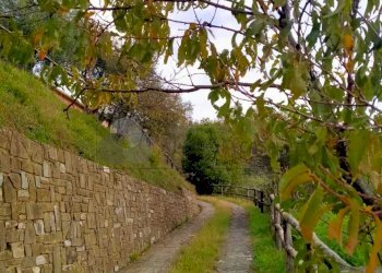 WhatsApp Image 2023-12-20 at 16.48.09 (1).jpeg - Villa Strada Provinciale 9, Calice al Cornoviglio - foto 1