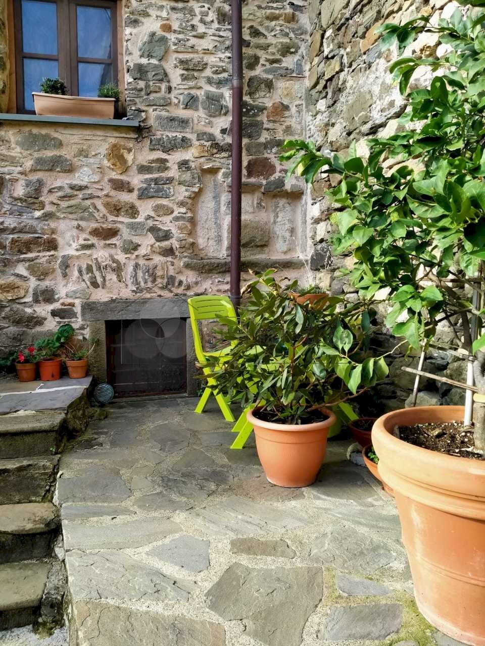 WhatsApp Image 2023-12-20 at 16.08.48 (3).jpeg - Rustico Strada Provinciale snc, Calice al Cornoviglio - foto 1