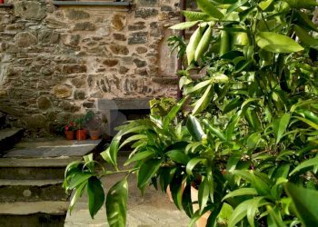 WhatsApp Image 2023-12-20 at 16.08.48.jpeg - Rustico Strada Provinciale snc, Calice al Cornoviglio - foto 13