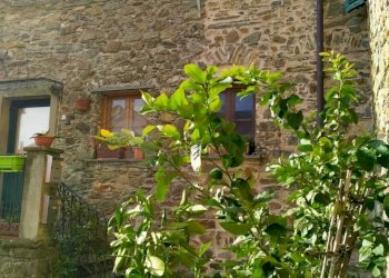 WhatsApp Image 2023-12-20 at 16.08.00.jpeg - Rustico Strada Provinciale snc, Calice al Cornoviglio - foto 5