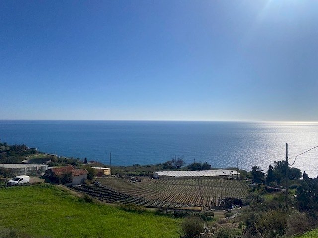 IMG_6033.jpg - Agricultural land Regione Marmi, Cipressa - photo 1