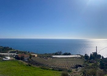 IMG_6033.jpg - Terreno agricolo Regione Marmi, Cipressa - foto 1