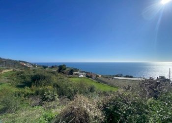 IMG_6034.jpg - Terreno agricolo Regione Marmi, Cipressa - foto 8