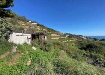 IMG_6037.jpg - Terreno agricolo Regione Marmi, Cipressa - foto 11