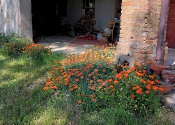 Casale Torrano Veggiola, Ponte dell'Olio, Ponte dell'Olio - foto 11