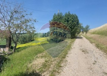 Casale Torrano Veggiola, Ponte dell'Olio, Ponte dell'Olio - foto 13