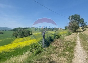 Casale Torrano Veggiola, Ponte dell'Olio, Ponte dell'Olio - foto 15