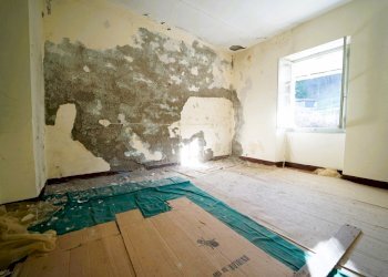 DSC04447.JPG - Terratetto - Terracielo Tornolo - foto 13