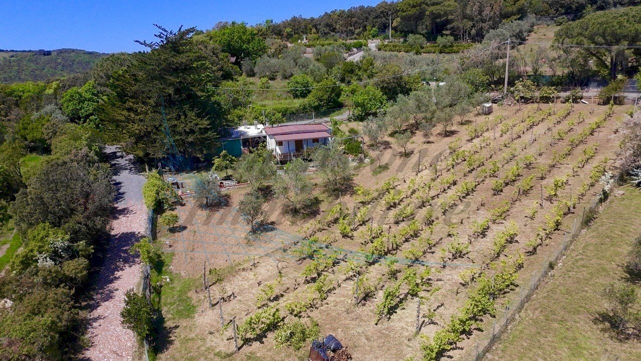 IMG_6533.jpeg - Villa Via Nuova Zelanda, Rosignano Marittimo - photo 1