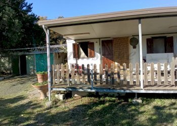 photo1702813159 (4).jpeg - Villa Via Nuova Zelanda, Rosignano Marittimo - foto 4