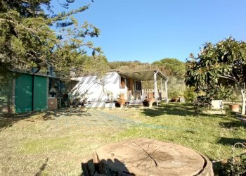 photo1702813200 (2).jpeg - Villa Via Nuova Zelanda, Rosignano Marittimo - foto 5