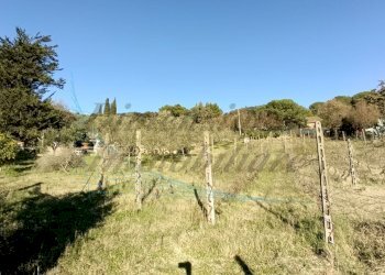 photo1702813403.jpeg - Villa Via Nuova Zelanda, Rosignano Marittimo - foto 12