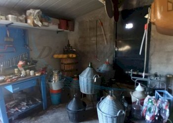 photo1702813298 (2).jpeg - Villa Via Nuova Zelanda, Rosignano Marittimo - foto 15