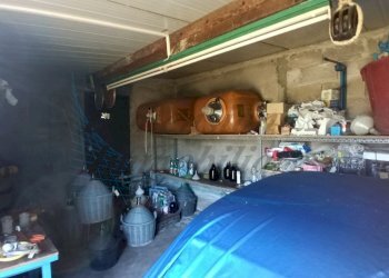 photo1702813298 (3).jpeg - Villa Via Nuova Zelanda, Rosignano Marittimo - foto 16