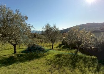 photo1702813321 (2).jpeg - Villa Via Nuova Zelanda, Rosignano Marittimo - foto 18