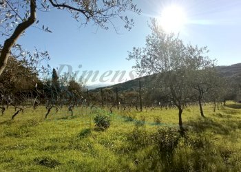 photo1702813348.jpeg - Villa Via Nuova Zelanda, Rosignano Marittimo - foto 20