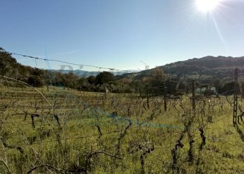 photo1702813370.jpeg - Villa Via Nuova Zelanda, Rosignano Marittimo - foto 21