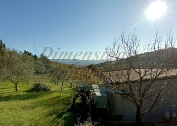 photo1702813390 (1).jpeg - Villa Via Nuova Zelanda, Rosignano Marittimo - foto 22