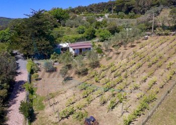 IMG_6533.jpeg - Villa Via Nuova Zelanda, Rosignano Marittimo - foto 1