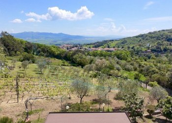 IMG_6534.jpeg - Villa Via Nuova Zelanda, Rosignano Marittimo - foto 23