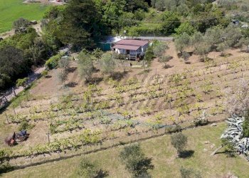 IMG_6530.jpeg - Villa Via Nuova Zelanda, Rosignano Marittimo - foto 24