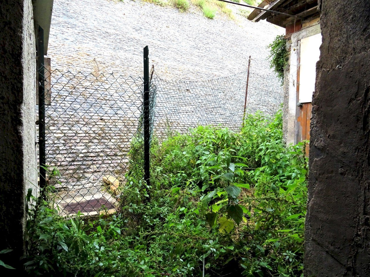 DSC09529.JPG - Villa a Schiera Corinaldo - foto 2