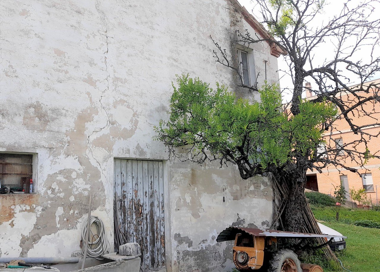 esterno - Rustico Ostra - foto 3