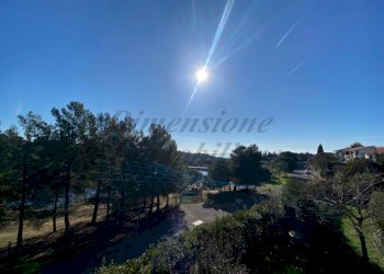 IMG_2727 (FILEminimizer).jpg - Appartamento Via Arno, Rosignano Marittimo - foto 4