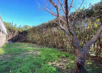 IMG_2740 (FILEminimizer).jpg - Appartamento Via Arno, Rosignano Marittimo - foto 8