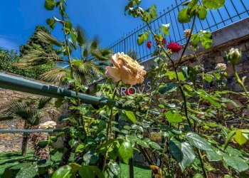 Villa Bordighera - foto 17