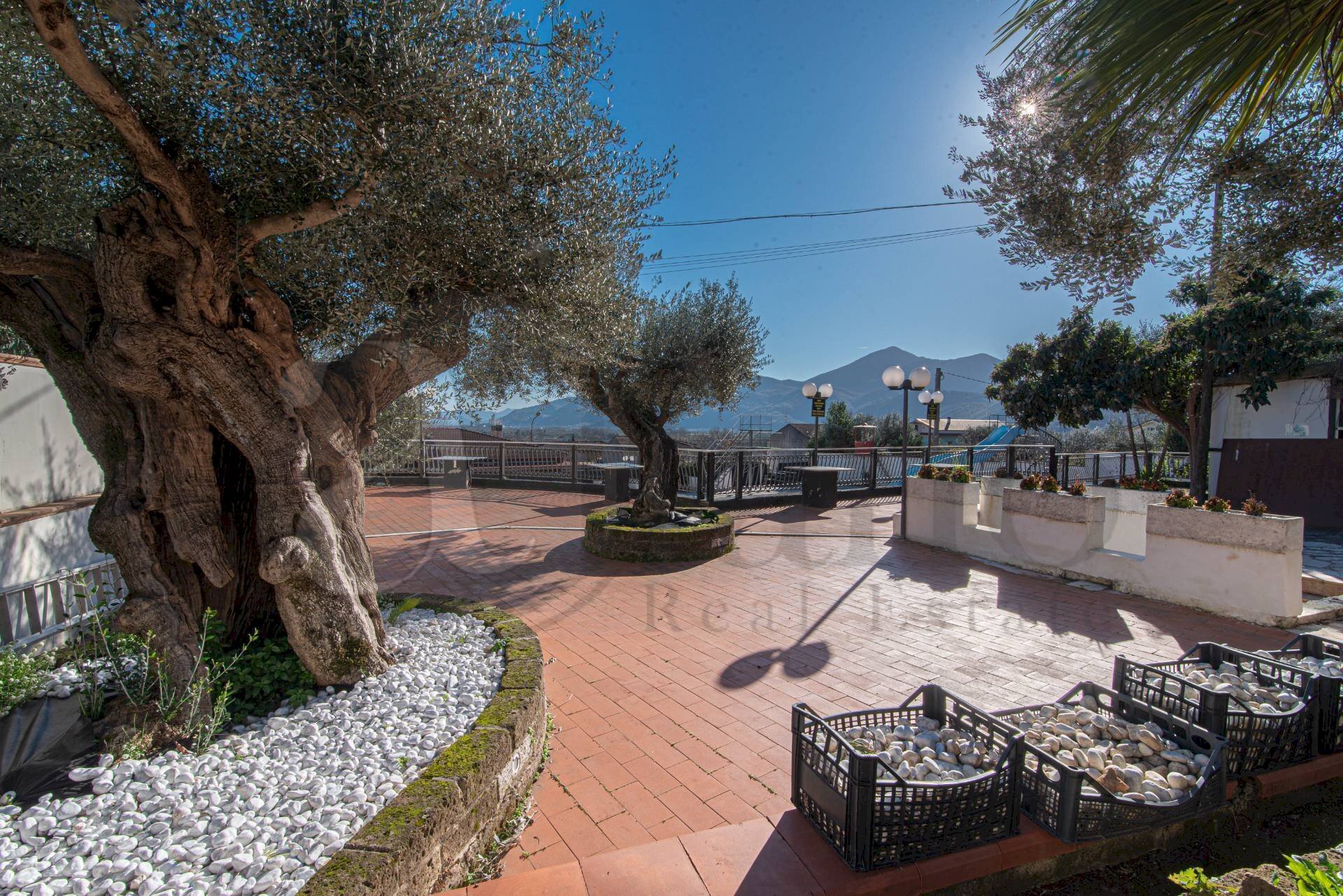 Hotel - Accommodation facility Strada Comunale Le Noci, Venafro - photo 3