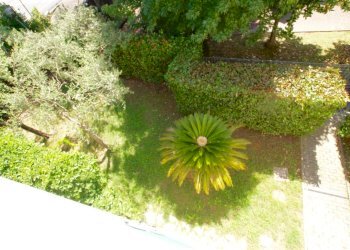 DSC03938.jpg - Terratetto - Terracielo Ameglia - foto 12