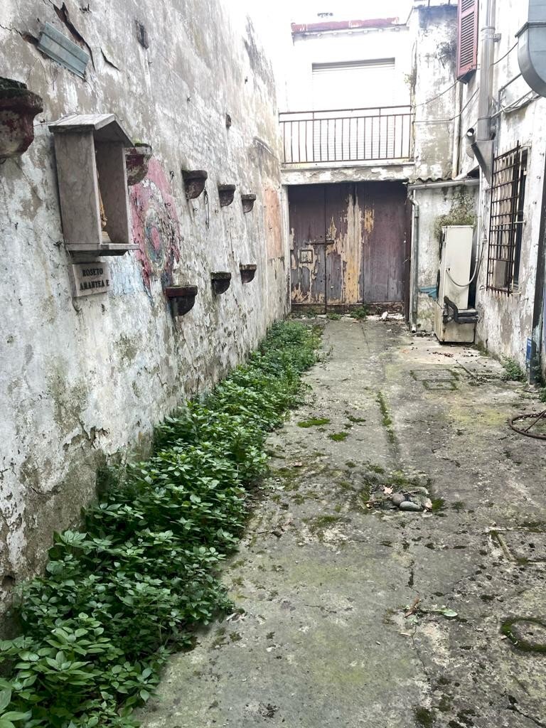 Stable - Palace Bagnacavallo - photo 3