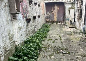 Stabile - Palazzo Bagnacavallo - foto 3