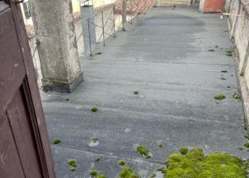 Stabile - Palazzo Bagnacavallo - foto 23