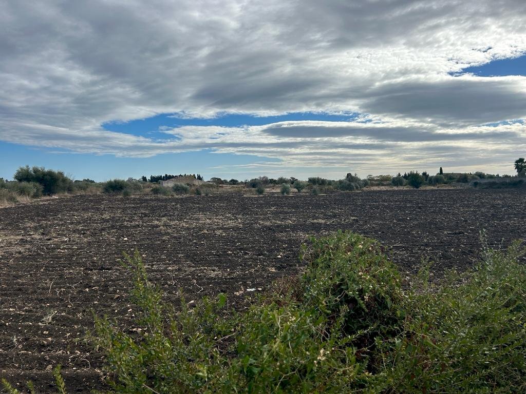 Senza titolo8.jpg - Terreno agricolo Siracusa - foto 3