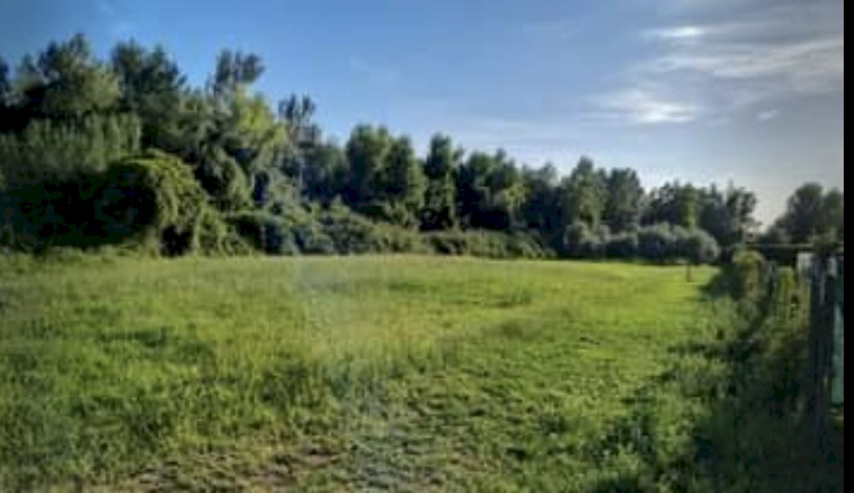 ef3530d3-fe1e-4f51-a1a7-de8637080ccd.jpg - Terreno agricolo Seravezza - foto 1