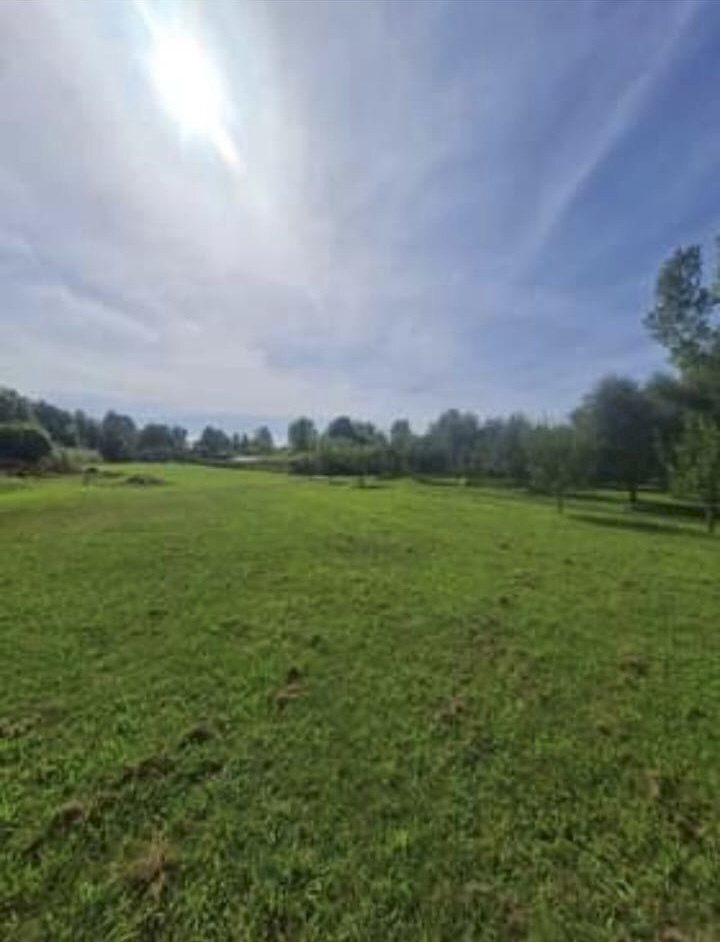 4aca96b4-e119-4069-9162-d39c833e8658.jpg - Terreno agricolo Seravezza - foto 3