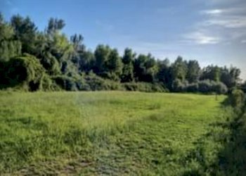 ef3530d3-fe1e-4f51-a1a7-de8637080ccd.jpg - Terreno agricolo Seravezza - foto 1