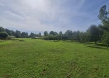 4aca96b4-e119-4069-9162-d39c833e8658.jpg - Terreno agricolo Seravezza - foto 3