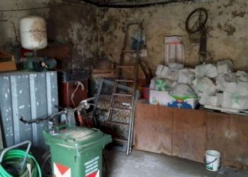 photo-2023-10-31-14-40-55 - Maso Maso Tesobbo, Roncegno Terme - foto 2