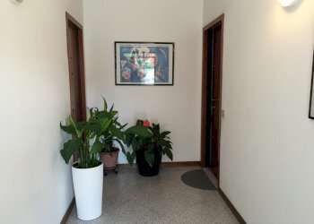 b0d47238-1e63-4dc7-86ba-e415ff6469a1.jpg - Casa semi indipendente Via Aldo Pucciarelli 15, Carrara - foto 13