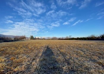 terreno - Terreno agricolo via Savona, 3, Rivalta di Torino - foto 8